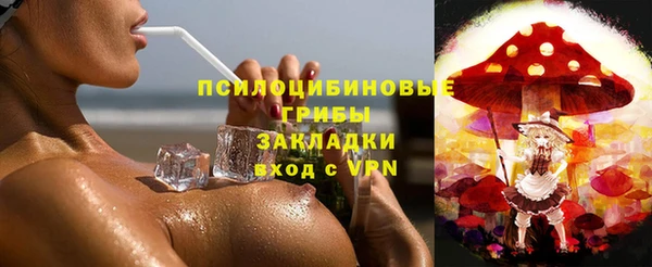 стафф Арсеньев